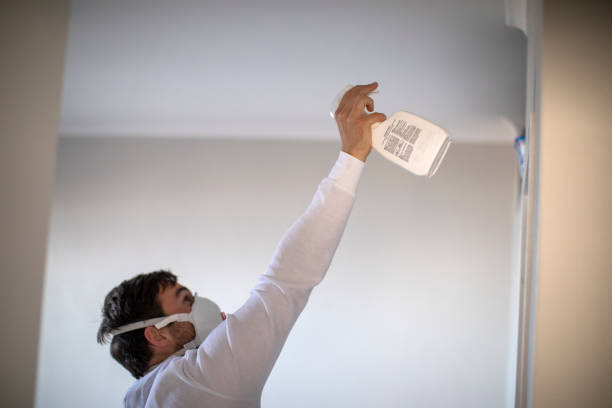 Best Mold Removal Specialists  in Moriches, NY