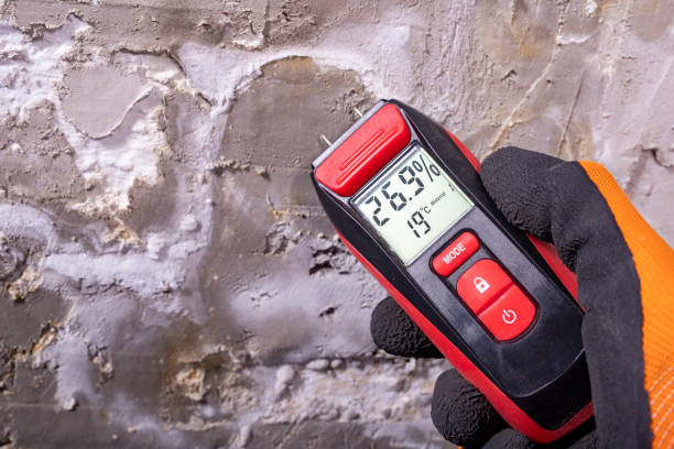 Best Emergency Mold Removal  in Moriches, NY