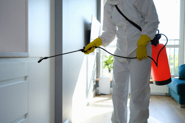 Best Certified Mold Removal  in Moriches, NY