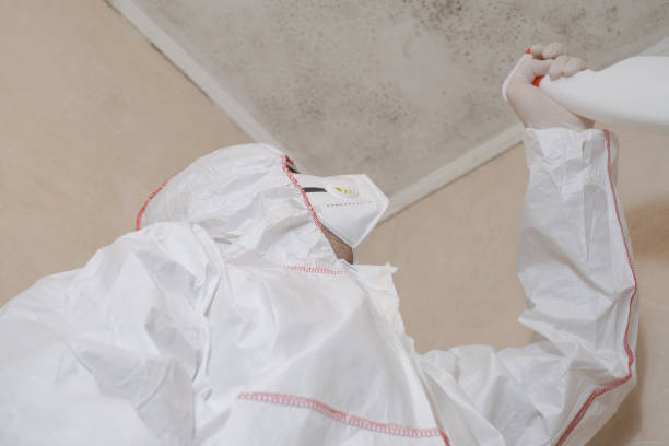 Best Crawl Space Mold Removal  in Moriches, NY